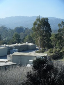 Sector Zero and the Santa Cruz Mountains