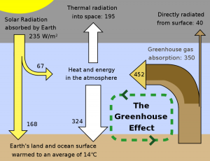 750px-Greenhouse_Effect.svg A simplified illustration of the greenhouse effect and its part in the cycle of enegy flow on earth.