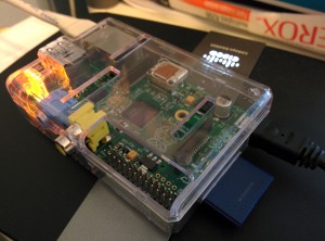 This picture shows a credit-card sized Raspberry Pi server, encased in a transparent plastic enclosure.