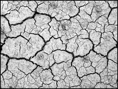 Cracked earth due to drought conditions