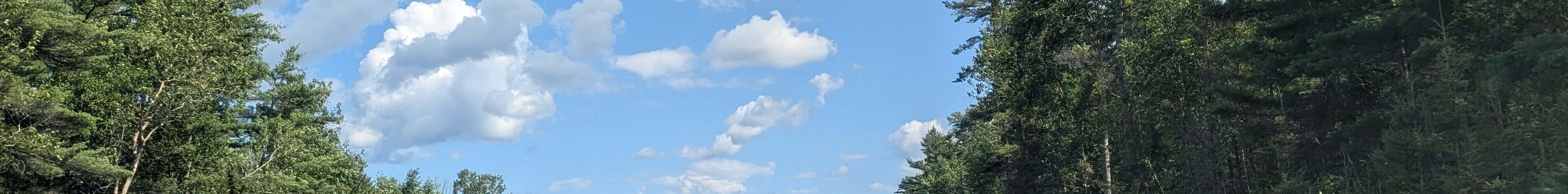 Blue skies with white clouds over a roadway lined with trees