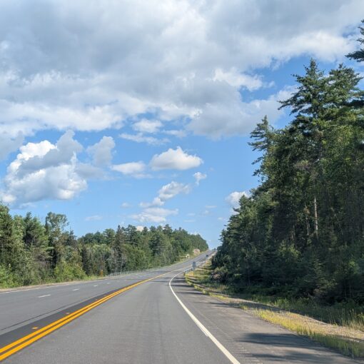 Blue skies with white clouds over a roadway lined with trees