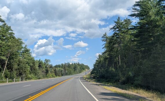 Blue skies with white clouds over a roadway lined with trees