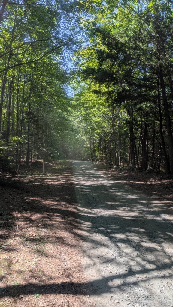 A dusty tree-lined road connects the multiple sites of Stellafane and makes for great walking
