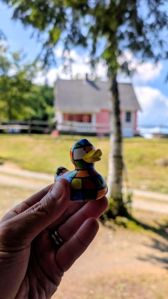 Puzzles the duck hanging out at Breezy Hill