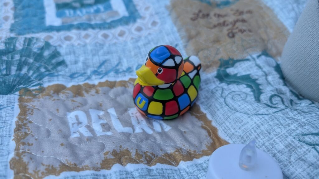 Puzzles the duck chills on our blanket as we relax on Breezy Hill before the final program